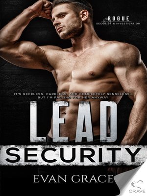 cover image of Lead Security